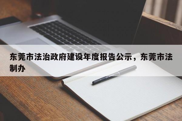 东莞市法治政府建设年度报告公示,东莞市法制办