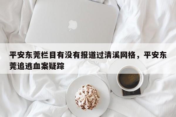 平安东莞栏目有没有报道过清溪网格,平安东莞追逃血案疑踪